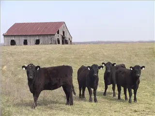 small_020328 tennis etcIMG_2532.webp